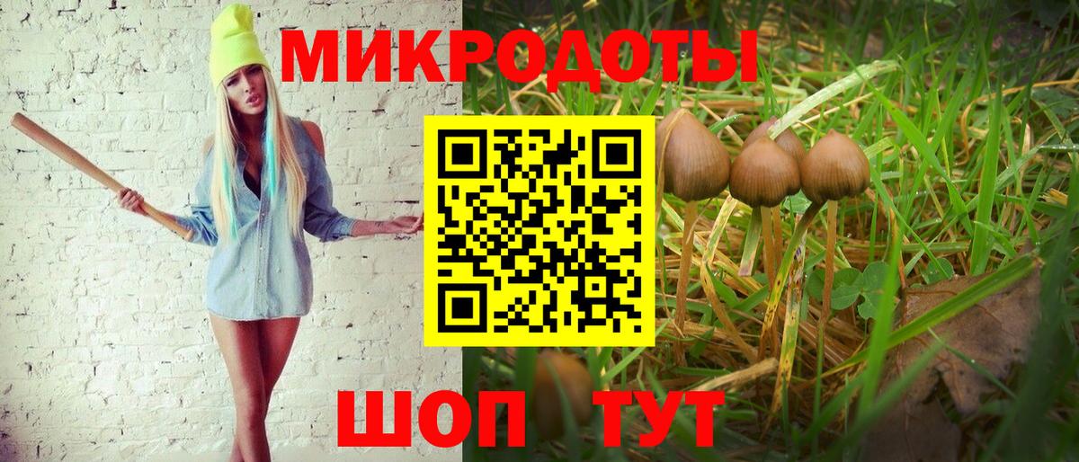 Тихорецк  Галлюциногенные грибы прущие грибы  Галлюциногенные грибы мухоморы  купить наркотики цена  Вход с VPN 